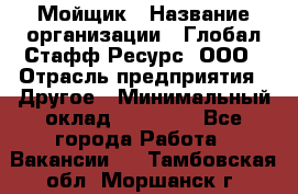 Мойщик › Название организации ­ Глобал Стафф Ресурс, ООО › Отрасль предприятия ­ Другое › Минимальный оклад ­ 30 000 - Все города Работа » Вакансии   . Тамбовская обл.,Моршанск г.